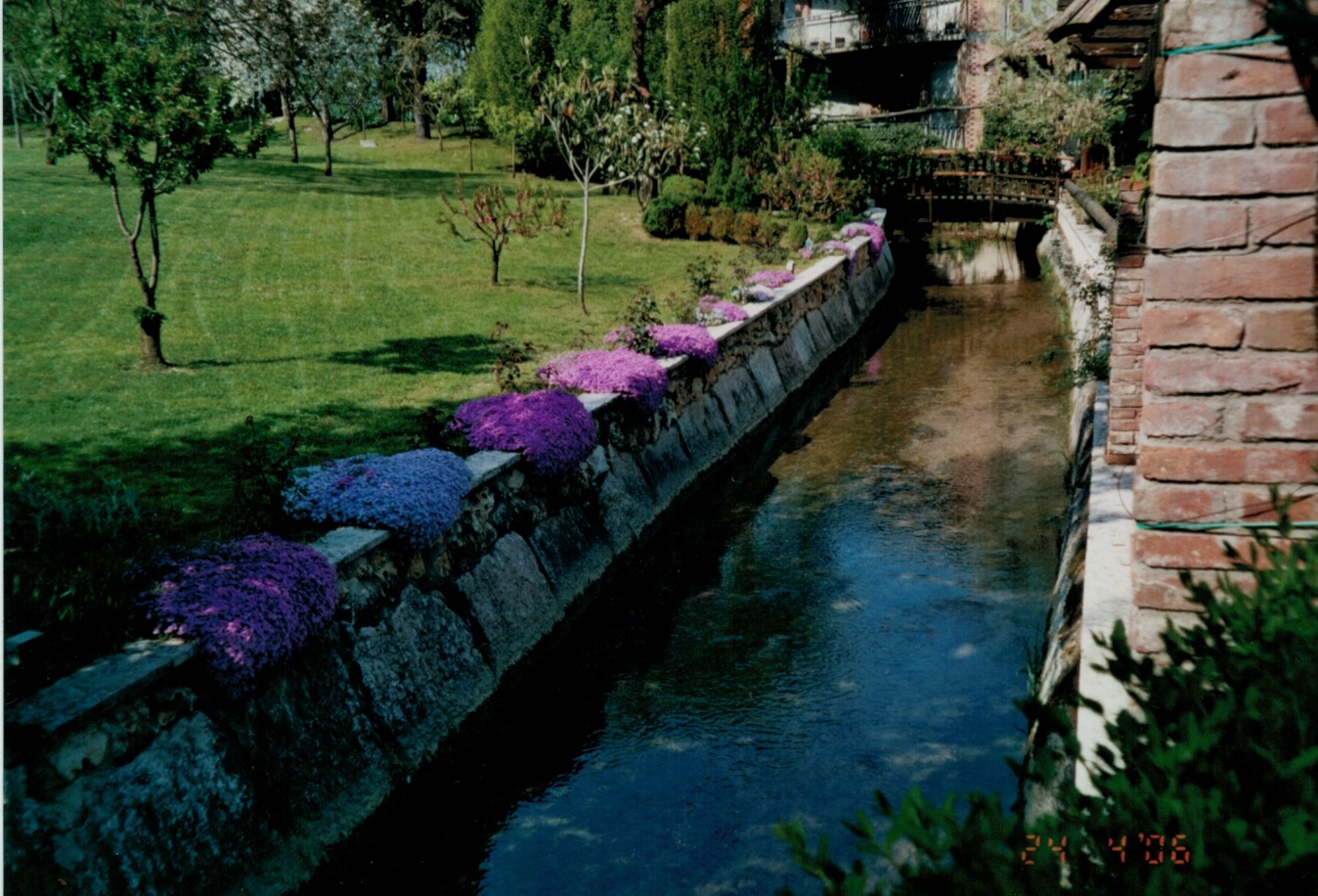 Canale e glicine