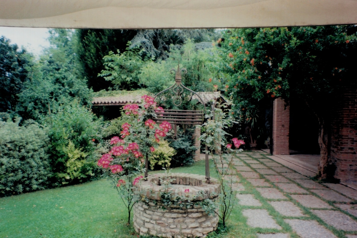 Pergola con rose